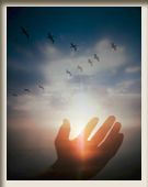 Let Your Light Shine!